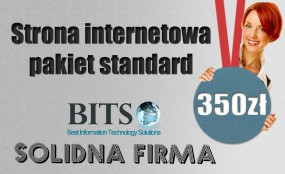Strona internetowa PAKIET STANDARD - BITS - Best IT Solutions Włocławek
