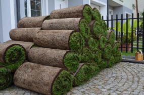 Zakładanie trawników z rolki - GREEN PARTNER Pracownia Architektury Krajobrazu Dłużka