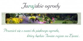 projektowanie ogrodów, zakładanie ogrodów - Jurajskie Ogrody Diana Wojciechowska Katowice
