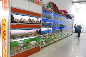 Karma dla psów i kotów - C.H. Kupiec Gorzowski Gorzów Wielkopolski