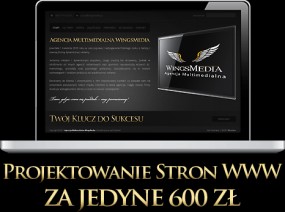 Projektowanie stron internetowych - Agencja Multimedialna WingsMedia Wrocław