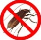 zwalczanie owadów i gryzoni DDD - Usługi w zakresie zwalczania szkodników - Grodków EKOSYNERGIA Adam Kucyniak