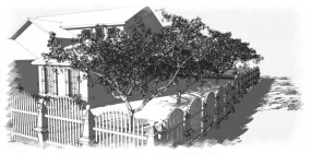 projektowanie ogrodów - ProCentrum pracownia projektowa Biskupiec