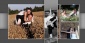 Foto-album VIDEOFILMOWANIE I FOTO - Słupsk Videofoto-Efekt