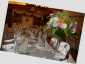 Zamość dekoracja kosciolow,sal,pojazdow, kwiaty do slubu - Piękny Ślub Studio Dekoracji Anna Jasiewicz