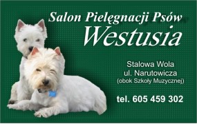 Pielęgnacja psów - Salon Pielęgnacji Psów WESTUSIA Stalowa Wola
