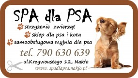 strzyżenie zwierząt - Salon SPA dla PSA Nakło nad Notecią