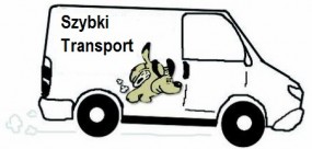 transport - przeprowadzki - Usługi transportowe - Szybki transport Konin Stare Miasto