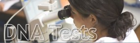 Testy na macierzyństwo 559 zł Testynaojcostwo.eu - TestynaOjcostwo.eu Ustalenie Ojcostwa Badanie DNA Gliwice