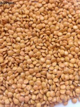 Regranulat polipropylenu, różne kolory - Bor Plast Ewelina Borucka Szczytno