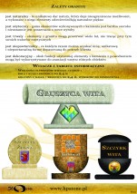 Witacz - HP Stone Rybnica Leśna