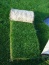 Ogród trawa rolowana - Dąbrowa nad Czarną Rollgrass - Trawa z rolki