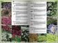 Katalog bylin Sulejówek - Aura Centrum Ogrodnicze
