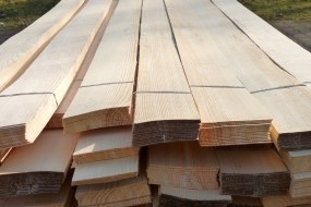 drewno fornir obłóg sosna 1,5mm - Barlinek KALITA FORNIR Okleiny Barlinek