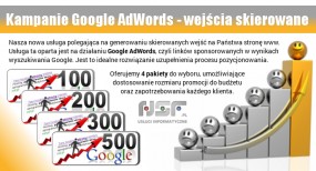 Kampanie Google AdWords - linki sponsorowane - NSF.pl Usługi Informatyczne Opole