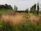 Projektowanie ogrodów projektowanie wykonanie pielęgnacja - Wronin FPHU Tret-Garden mgr inż. Lidia Tretko