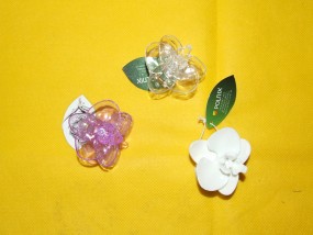 Klips do Storczyka - Aura Centrum Ogrodnicze Sulejówek