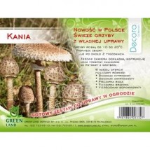 Kania - zestaw do własnej uprawy - Aura Centrum Ogrodnicze Sulejówek