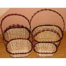 Wiklina, ratan - Aura Centrum Ogrodnicze Sulejówek