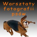 warsztaty fotograficzne Warszawa - TAIDA Taida Tarabuła