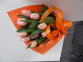 kwiaty z dostawą - Kwiaty w oknach Częstochowa