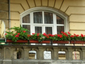 okno PCV - Awanti - Okna, drzwi, rolety i żaluzje Poznań