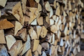 Domy z drewna - Przedsiębiorstwo Budowlane  Dar-Bud  Dariusz Różycki Koszalin