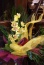 Dostawa kwiatów i bukietów Dostawa kwiatów - Końskie Pracownia Florystyczna Iwona Gregiel