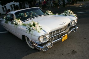 Strojenie samochodu na ślub - Pracownia Florystyczna Iwona Gregiel Końskie