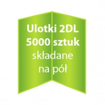 Ulotki 2DL składane na pół 5000 sztuk - Dc Studio Oświęcim