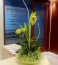 Kompozycje z żywych kwiatów do biur i na recepcję dekoracje - Warszawa Pracownia florystyczna  Metaflora 