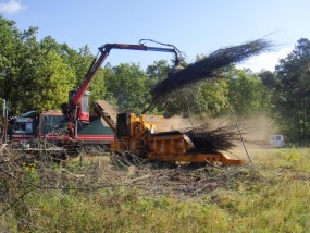 Czyszczenie terenów z biomasy drzewnej wykwalifikowanym sprzętem - Firma Usługowo Transportowa Vamir1 Chodzież