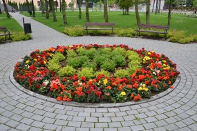 projektowanie terenów zieleni, Toruń - PROWENA Projektowanie ogrodów Ciechocinek