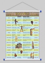 Bogowie Grecji i Rzymu WROCŁAW POZNAŃ ŁÓDŹ WARSZAWA - PHU Lewandowski Jerzy pomocedydaktyczne.info Niedary