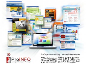 Tworzenie stron i sklepów WWW - Agencja Informacji i Promocji ProINFO Szczecin
