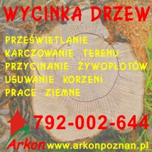 Usuwanie drzew - Przedsiębiorstwo Wielobranżowe Arkon Poznań