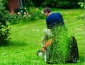Pielęgnacja zieleni Kobylnica - IZI- Usługi sprzątania, pielęgnacja zieleni