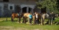 Borowski Las wynajem pokoi - Rancho  Zielony Koń 