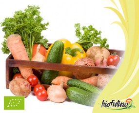 Warzywa - Biofuturo Trade Sp. z o.o. Kraków