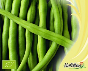 Fasole, grochy i soje - Biofuturo Trade Sp. z o.o. Kraków