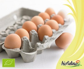 Jajka - Biofuturo Trade Sp. z o.o. Kraków
