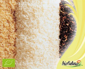 Ryż - Biofuturo Trade Sp. z o.o. Kraków