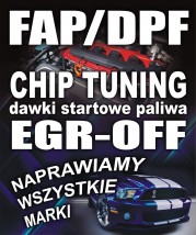 chip tuning - Marta Cichocka Auto-Martello Warszawa