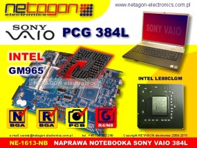 PCG 384L NB - NETAGON electronics Gdynia