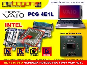 PCG 4E1L CPU - NETAGON electronics Gdynia