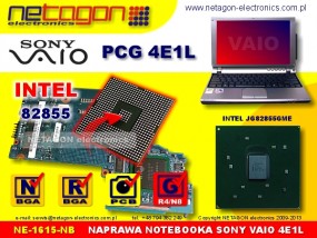 PCG 4E1L NB - NETAGON electronics Gdynia