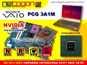 PCG 3A1M GPU - NETAGON electronics Gdynia