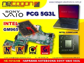 PCG 5G3L NB - NETAGON electronics Gdynia