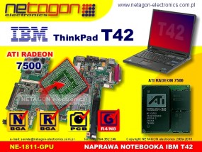 T42 GPU - NETAGON electronics Gdynia