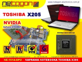 X205 GPU - NETAGON electronics Gdynia